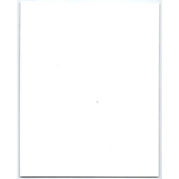 V Joel Gretsch Father Press Photo Actor in Clerical Collar at Protest Rally - Picture 2 of 2